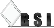 BSI Services logo